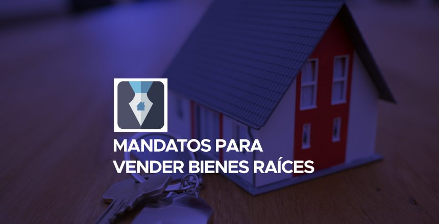 Blog2 copia 7-100